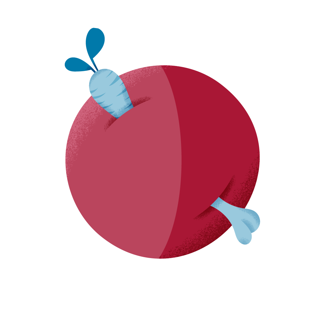 AR245_Pian_NutriFisio_v01